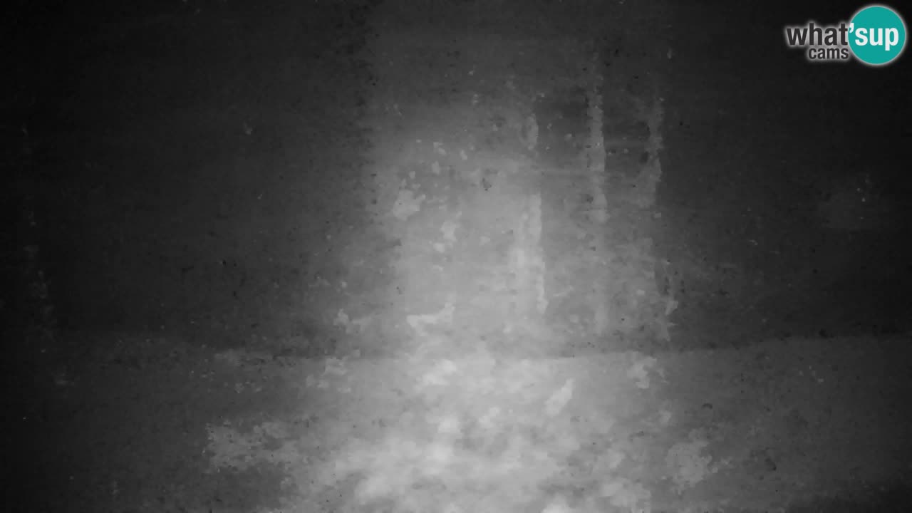 Webcam Lukanja – Water Village | Pohorje Houses