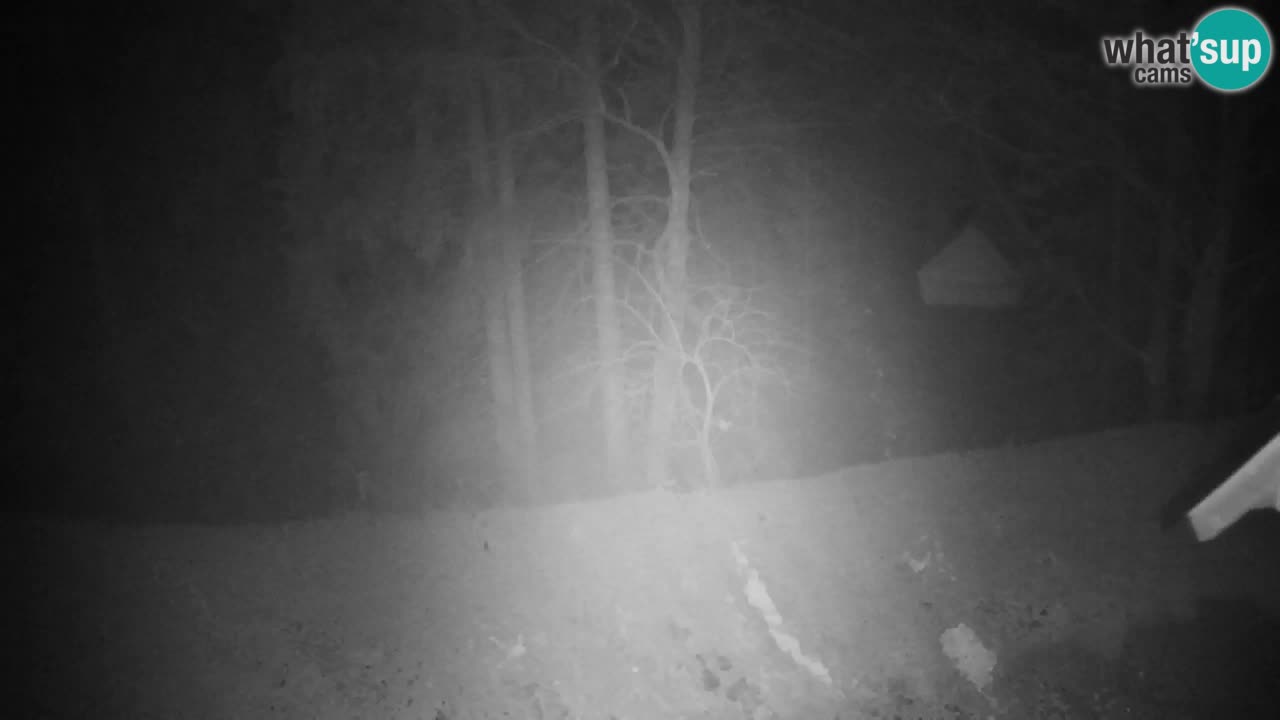 Webcam Lukanja – Water Village | Pohorje Houses