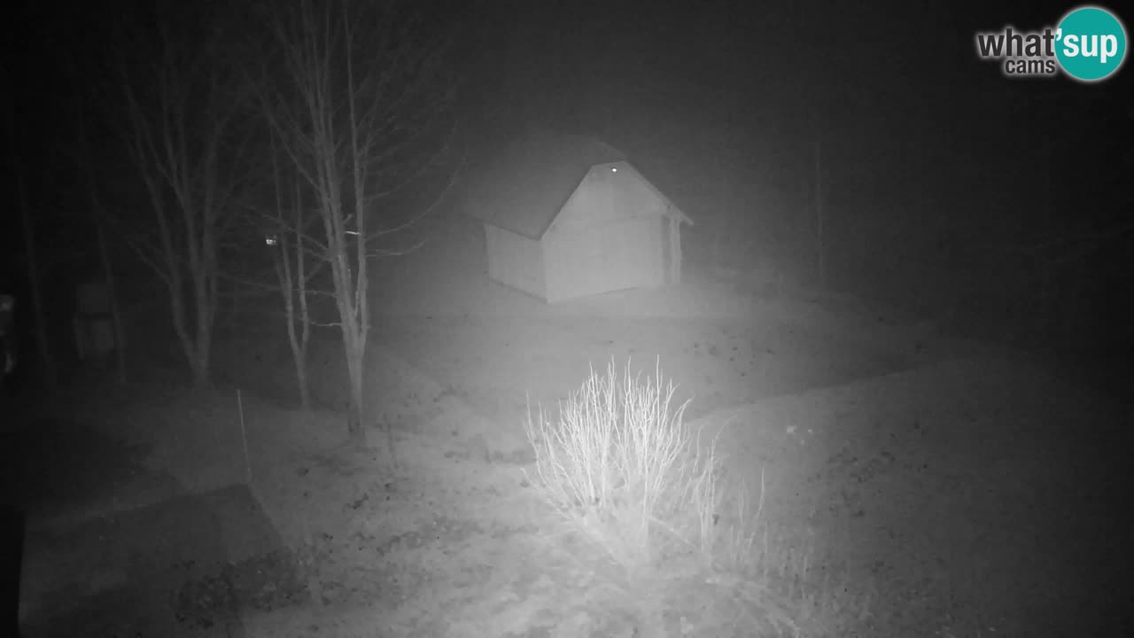 Webcam Lukanja – Water Village | Pohorje Houses