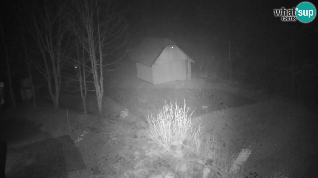 Webcam Lukanja – Water Village | Pohorje Houses