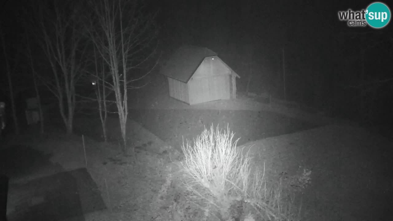 Webcam Lukanja – Water Village | Pohorje Houses