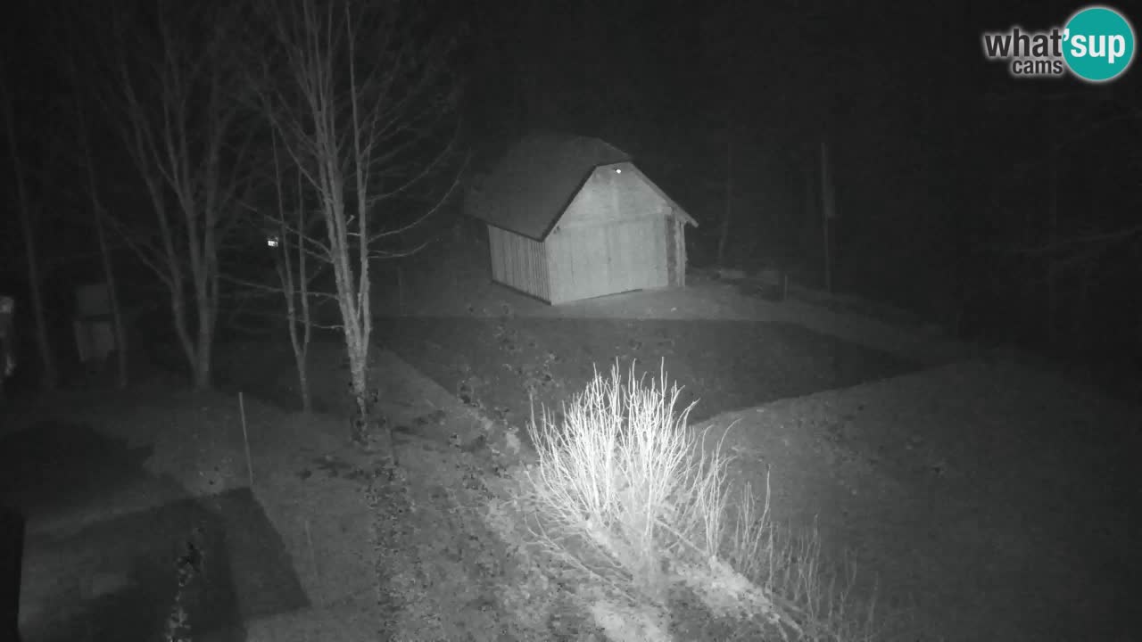 Webcam Lukanja – Water Village | Pohorje Houses