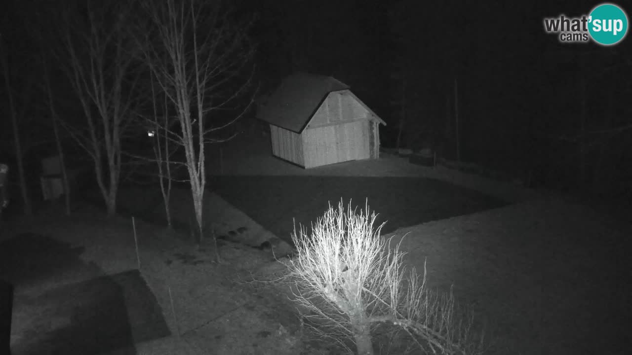 Webcam Lukanja – Water Village | Pohorje Houses