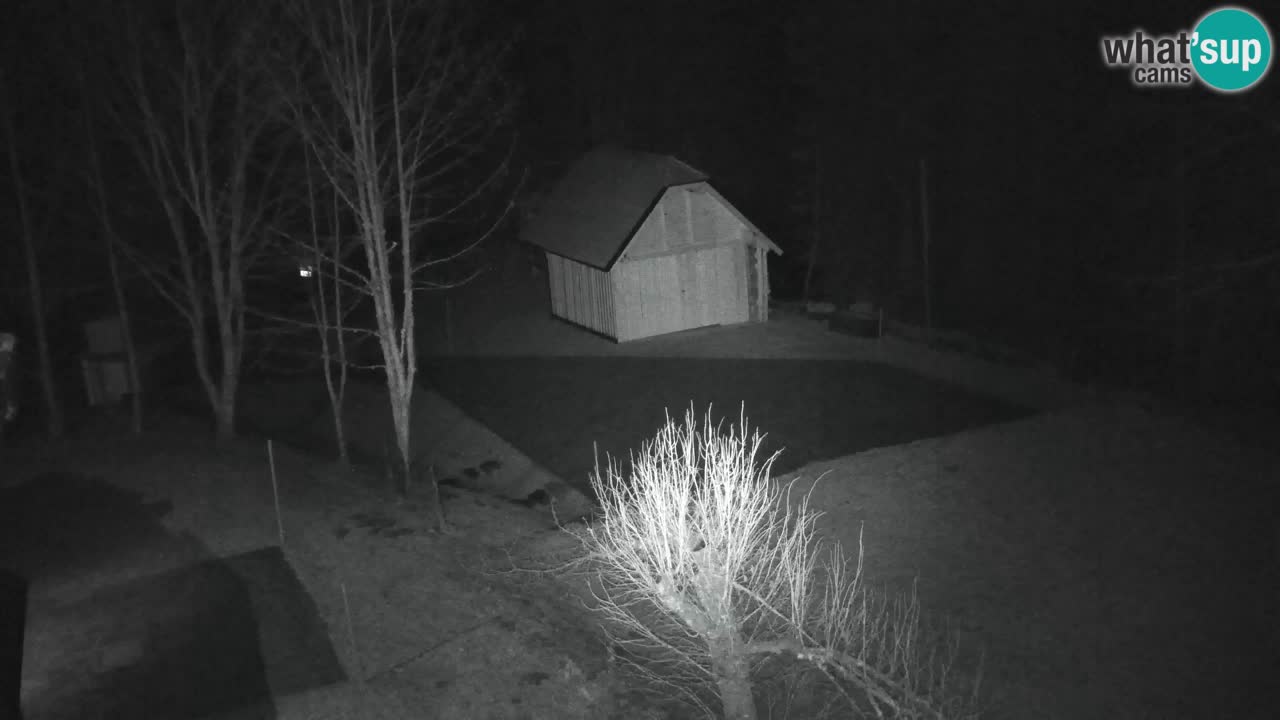 Webcam Lukanja – Water Village | Pohorje Houses