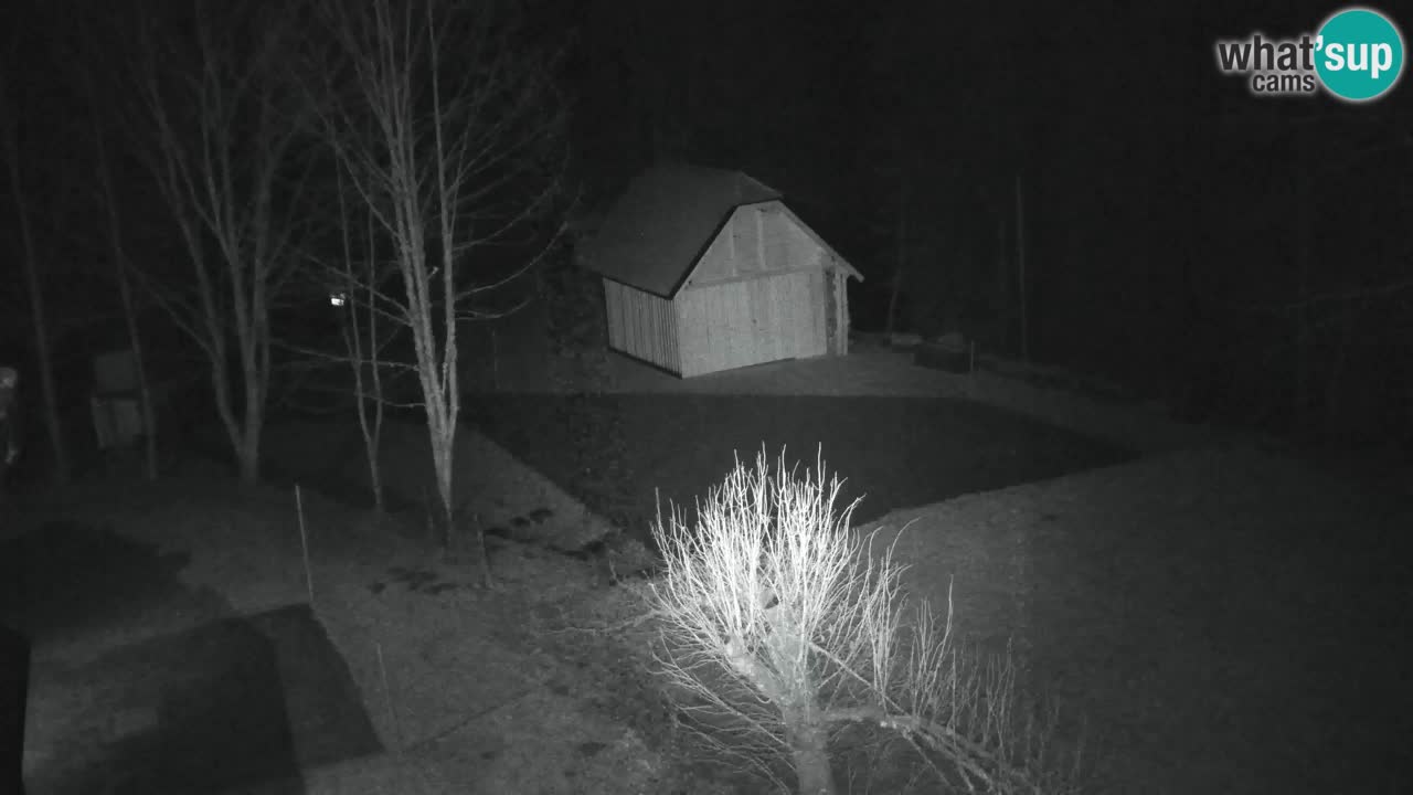 Webcam Lukanja – Water Village | Pohorje Houses