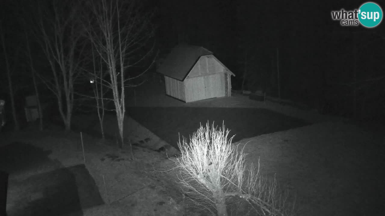 Webcam Lukanja – Water Village | Pohorje Houses