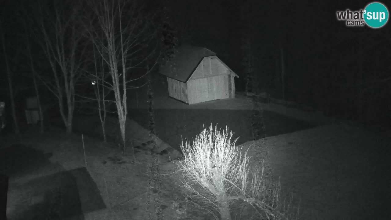 Webcam Lukanja – Water Village | Pohorje Houses