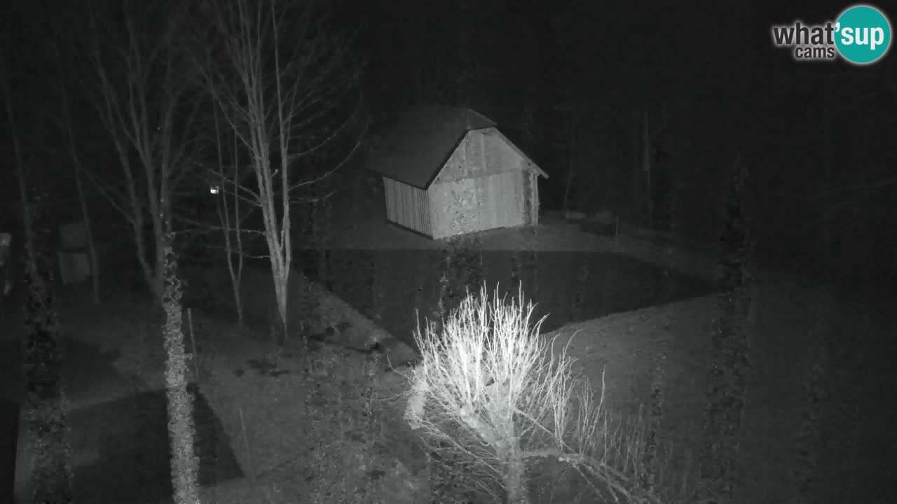 Webcam Lukanja – Pohorje houses a Water village