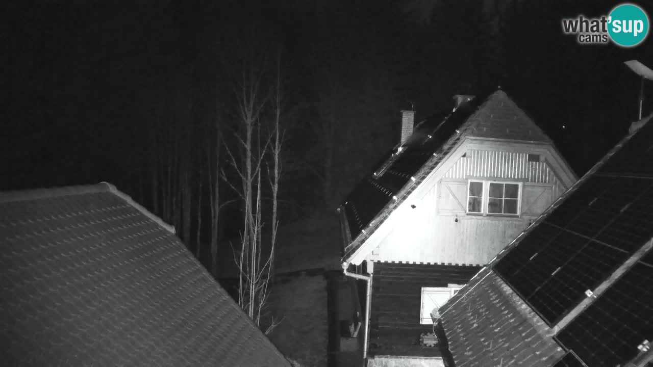 Webcam Lukanja – Water Village | Pohorje Houses
