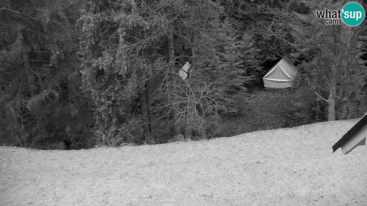 Webcam Lukanja – Water Village | Pohorje Houses