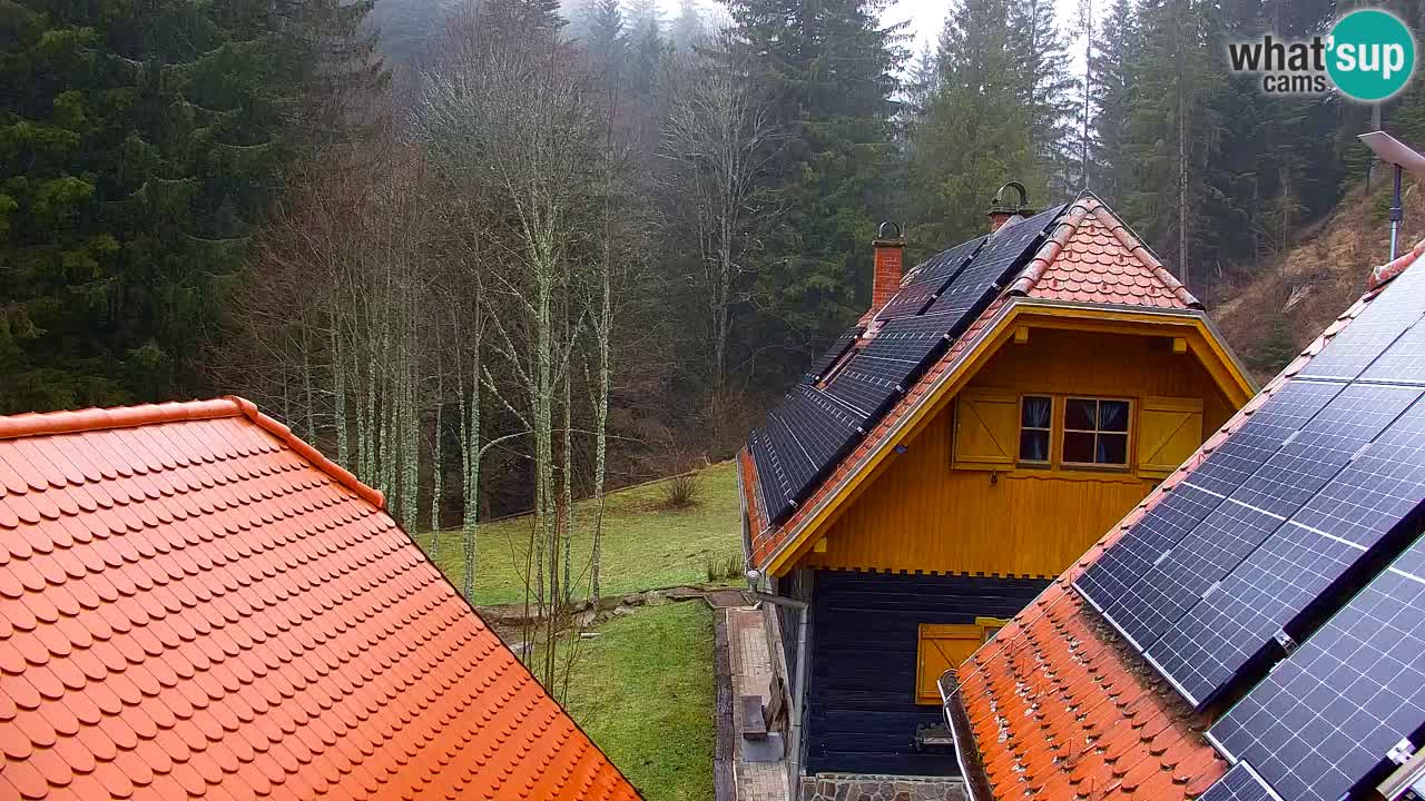 Webcam Lukanja – Water Village | Pohorje Houses