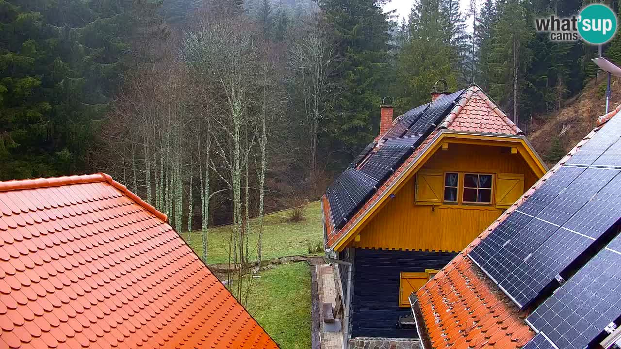 Spletna kamera Lukanja – Water Village | Pohorje Houses