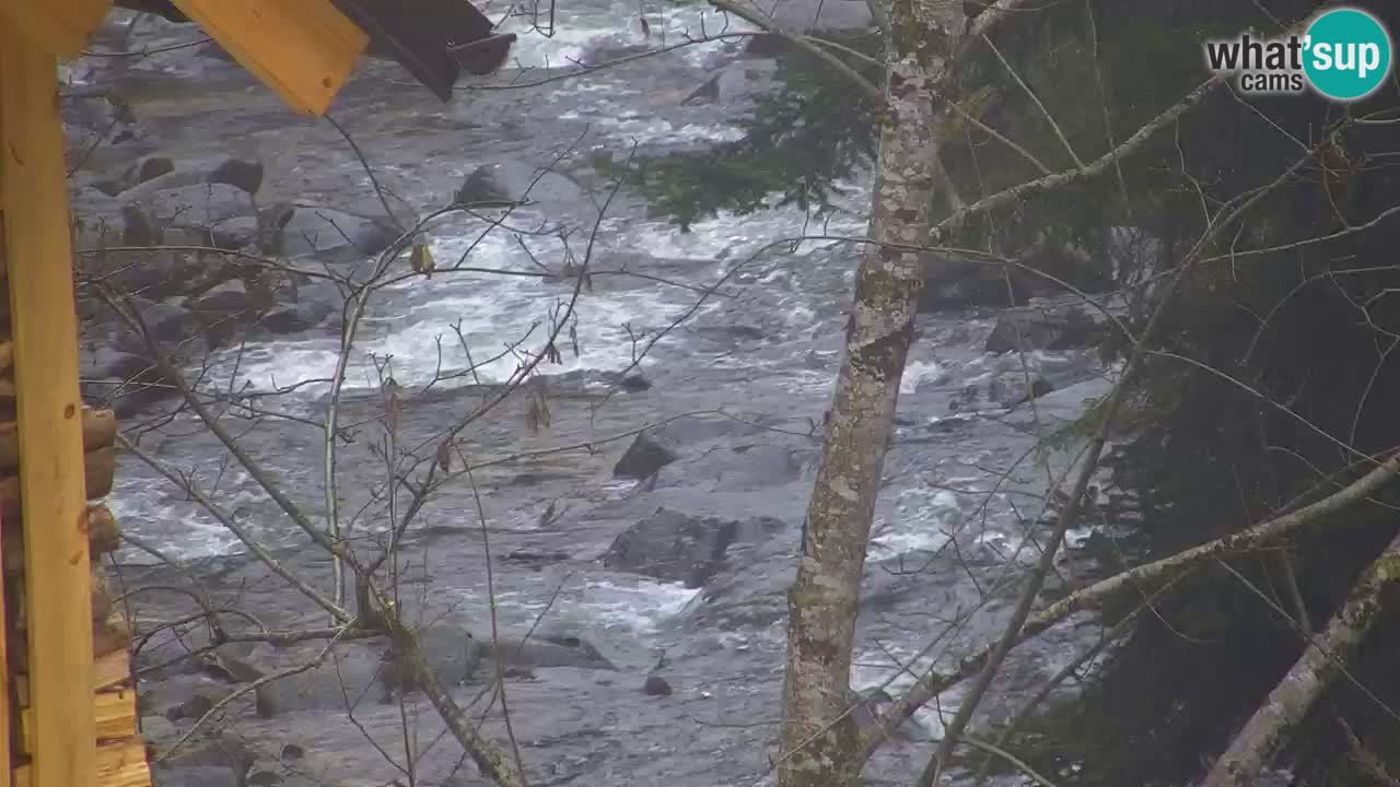 Webcam Lukanja – Water Village | Pohorje Houses