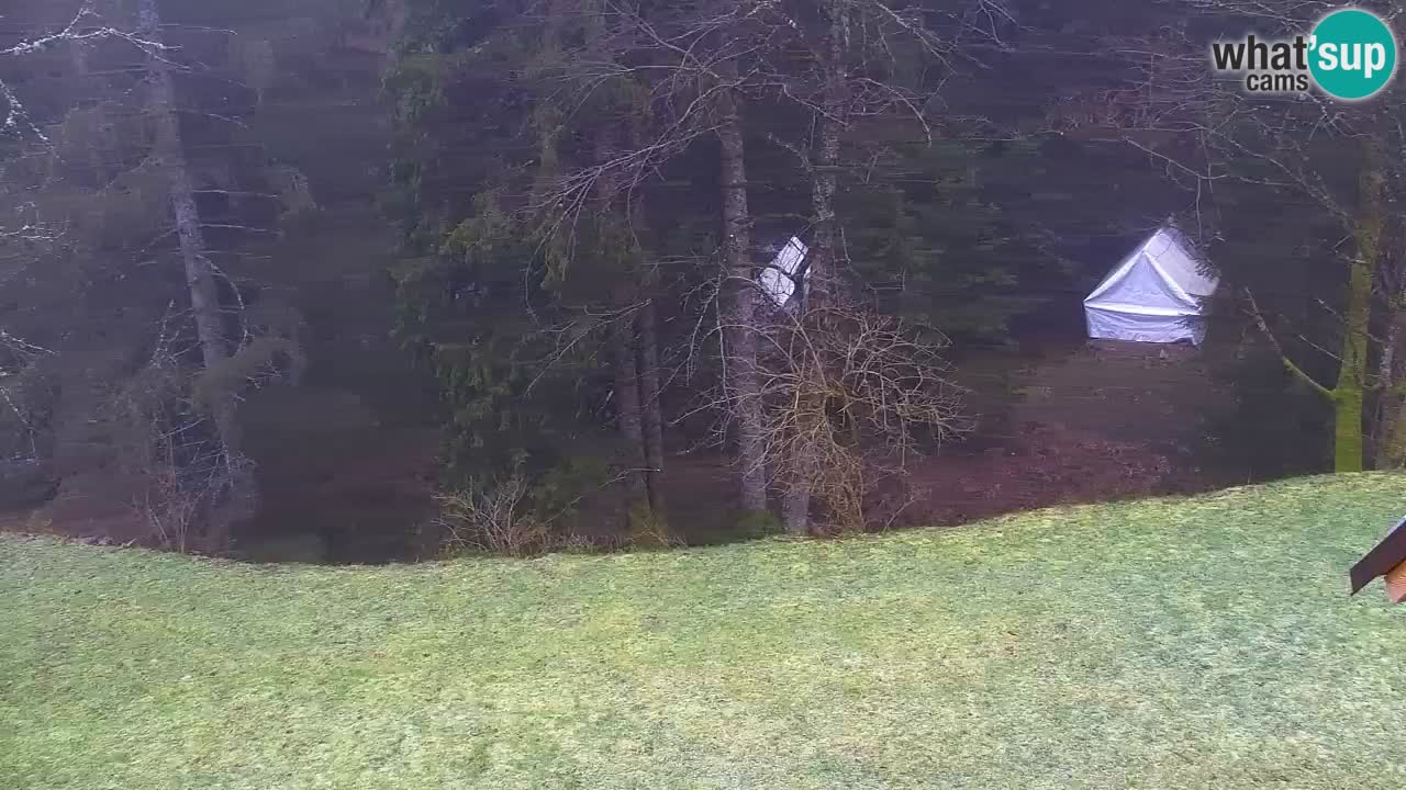 Webcam Lukanja – Water Village | Pohorje Houses