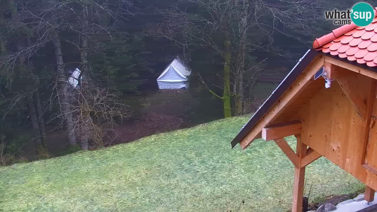 Web kamera Lukanja – Water Village | Pohorje Houses