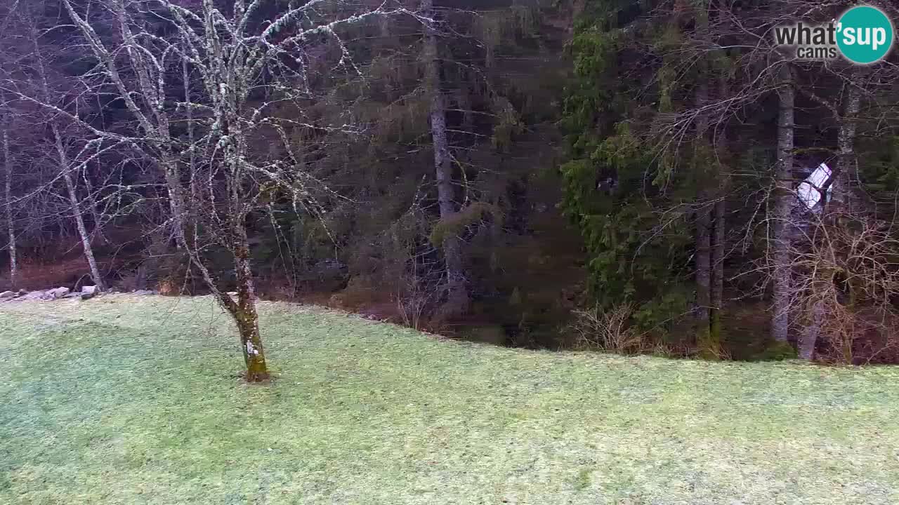 Webcam Lukanja – Water Village | Pohorje Houses