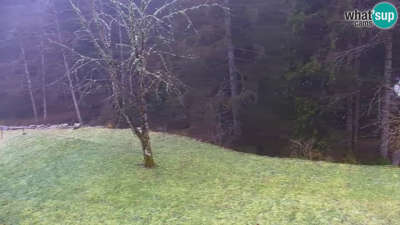 Webcam Lukanja – Water Village | Pohorje Houses