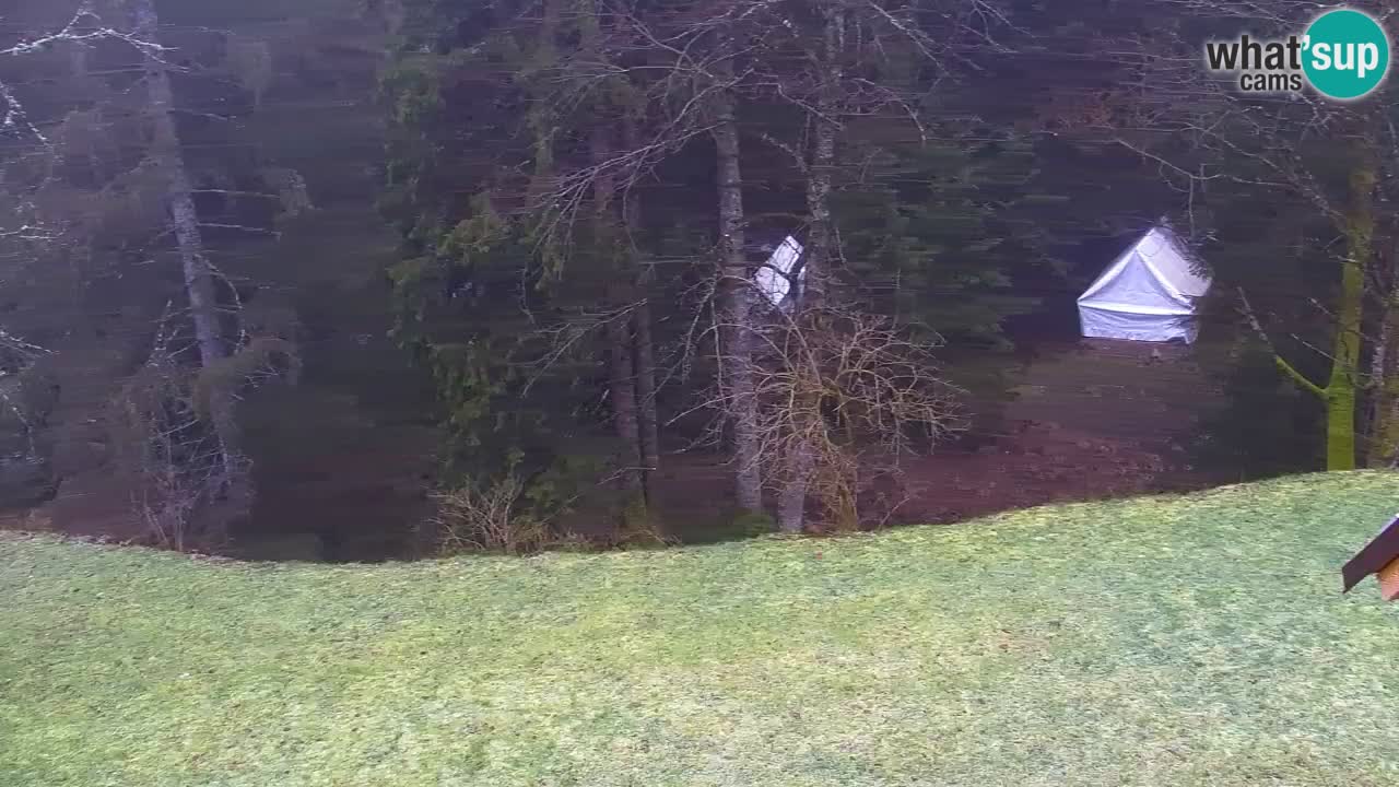 Webcam Lukanja – Water Village | Pohorje Houses