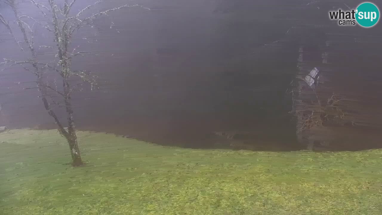 Spletna kamera Lukanja – Water Village | Pohorje Houses