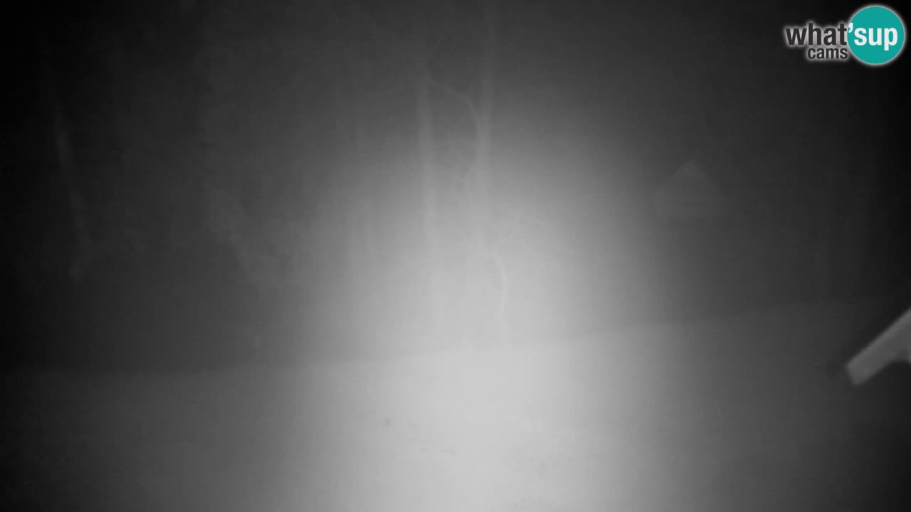 Web kamera Lukanja – Water Village | Pohorje Houses