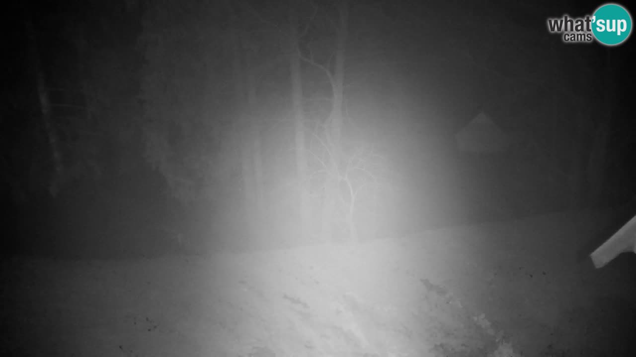 Webcam Lukanja – Water Village | Pohorje Houses