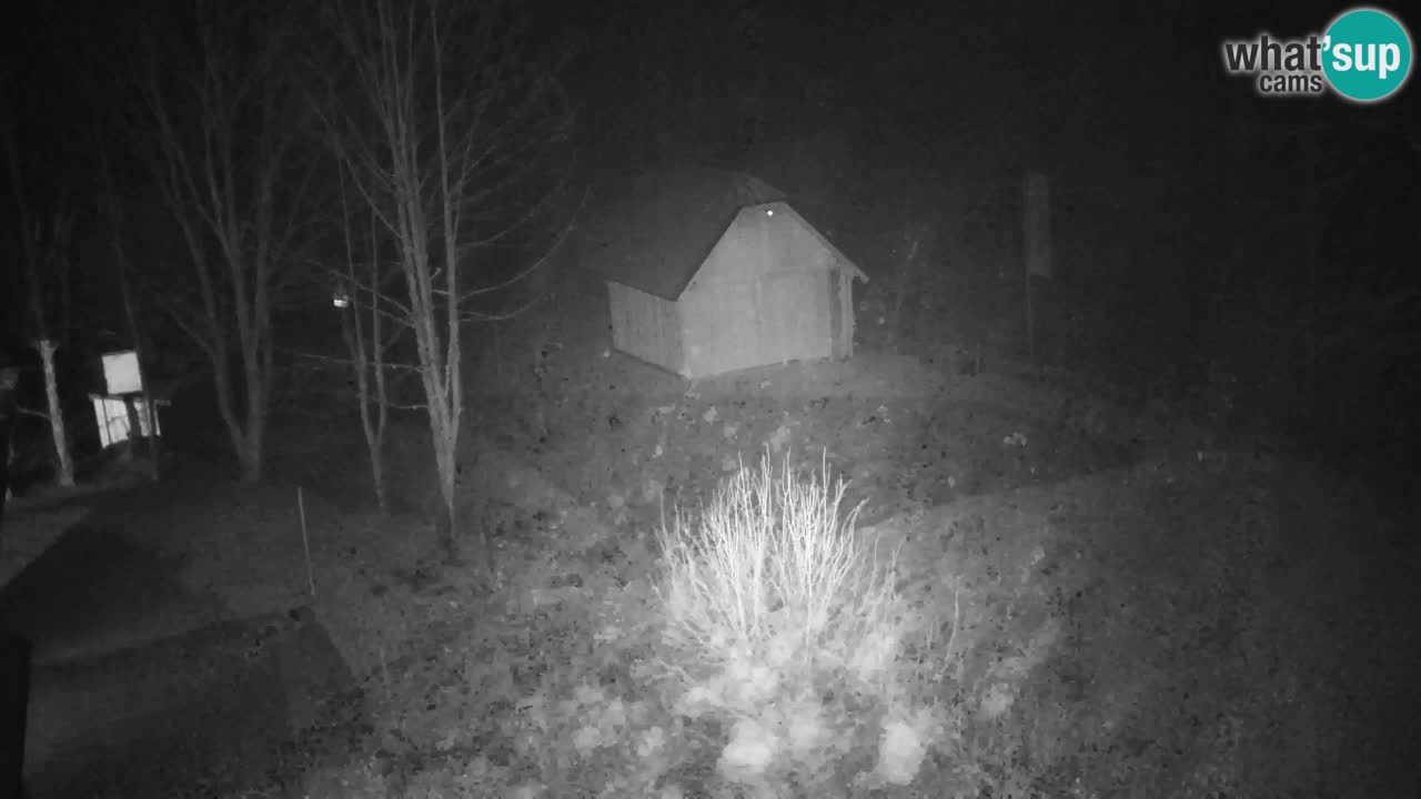 Webcam Lukanja – Water Village | Pohorje Houses