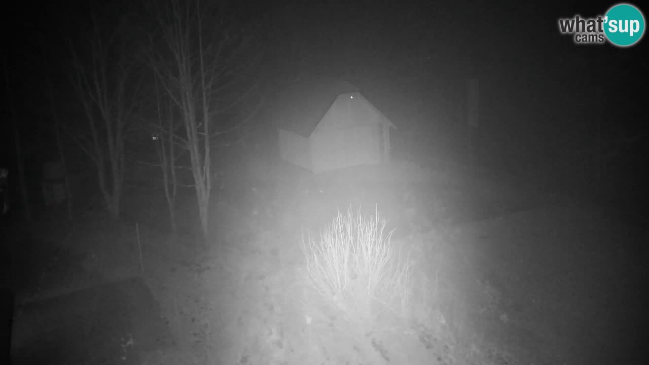 Webcam Lukanja – Water Village | Pohorje Houses