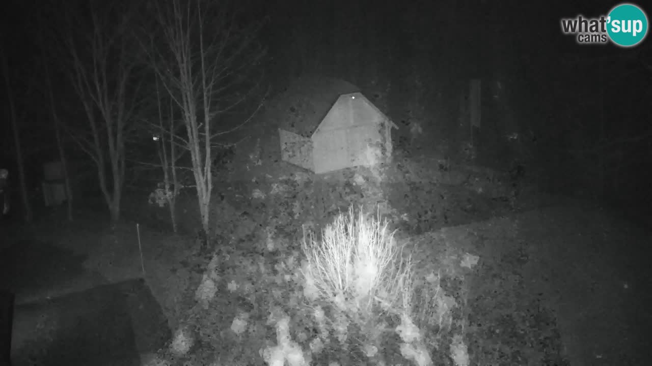 Webcam Lukanja – Water Village | Pohorje Houses