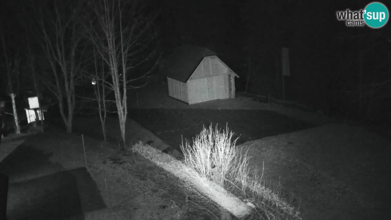 Web kamera Lukanja – Water Village | Pohorje Houses