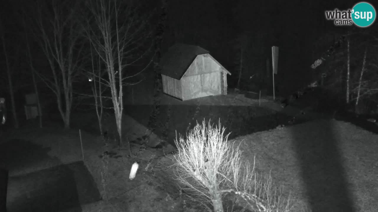 Webcam Lukanja – Water Village | Pohorje Houses