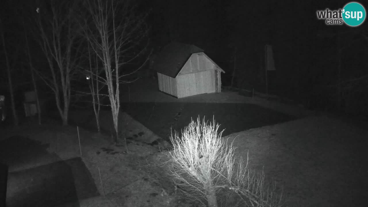 Webcam Lukanja – Water Village | Pohorje Houses