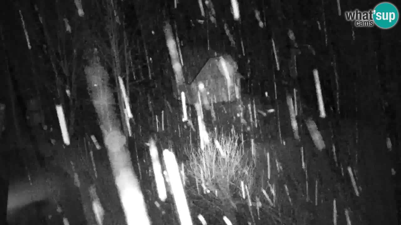 Spletna kamera Lukanja – Water Village | Pohorje Houses