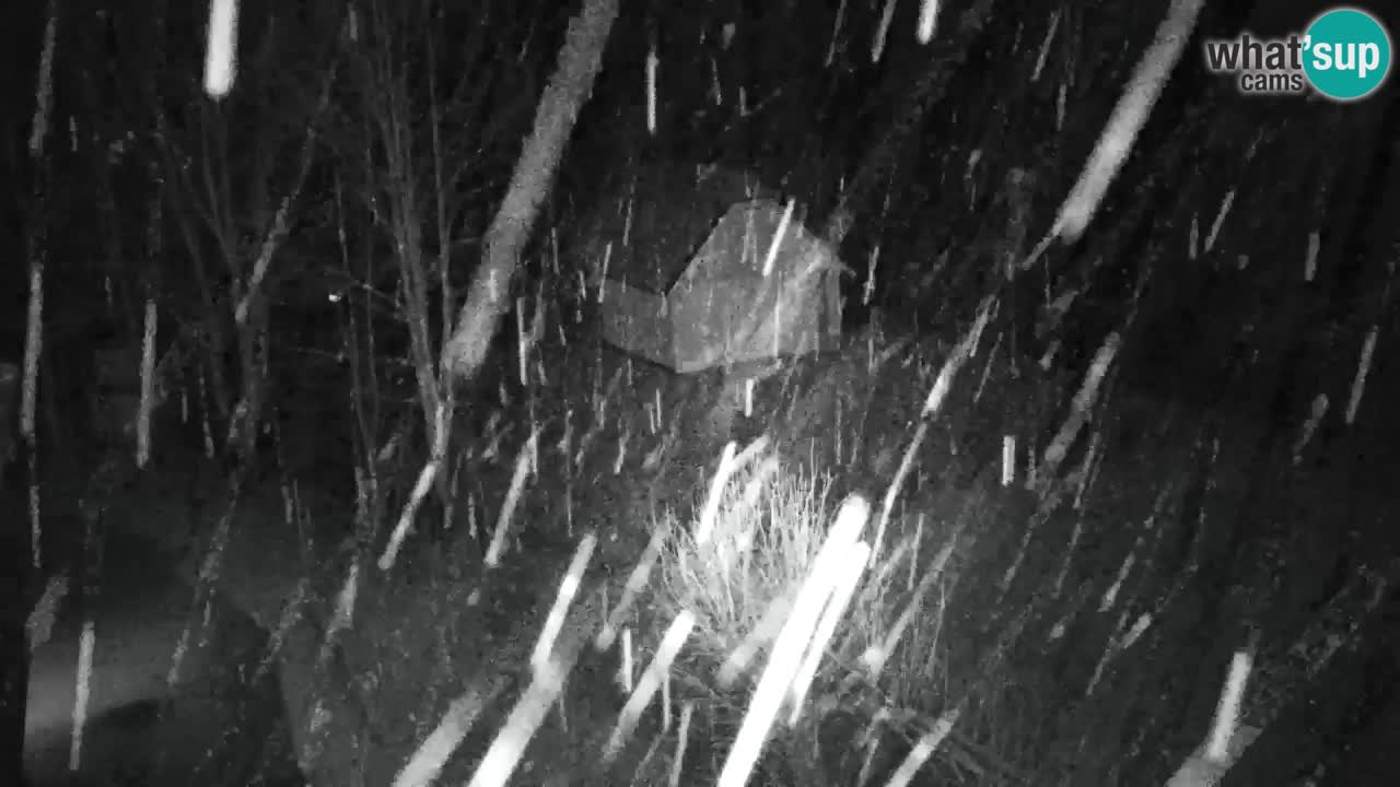 Webcam Lukanja – Pohorje houses a Water village