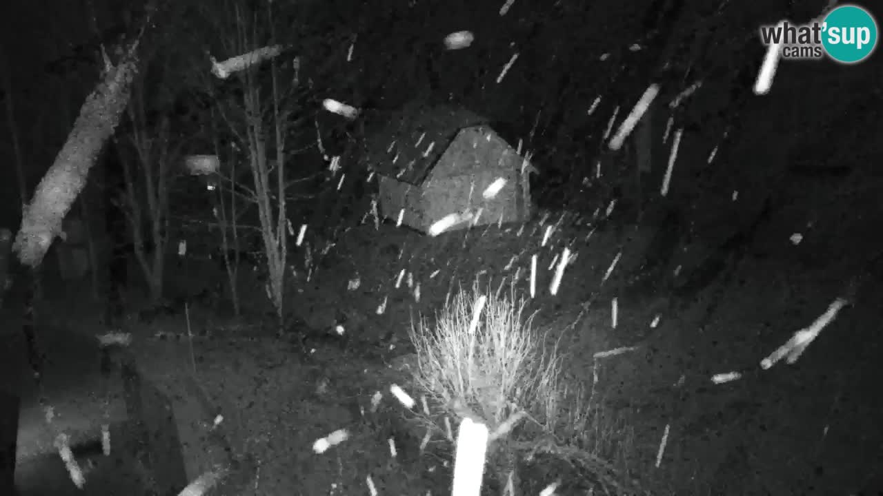 Webcam Lukanja – Water Village | Pohorje Houses