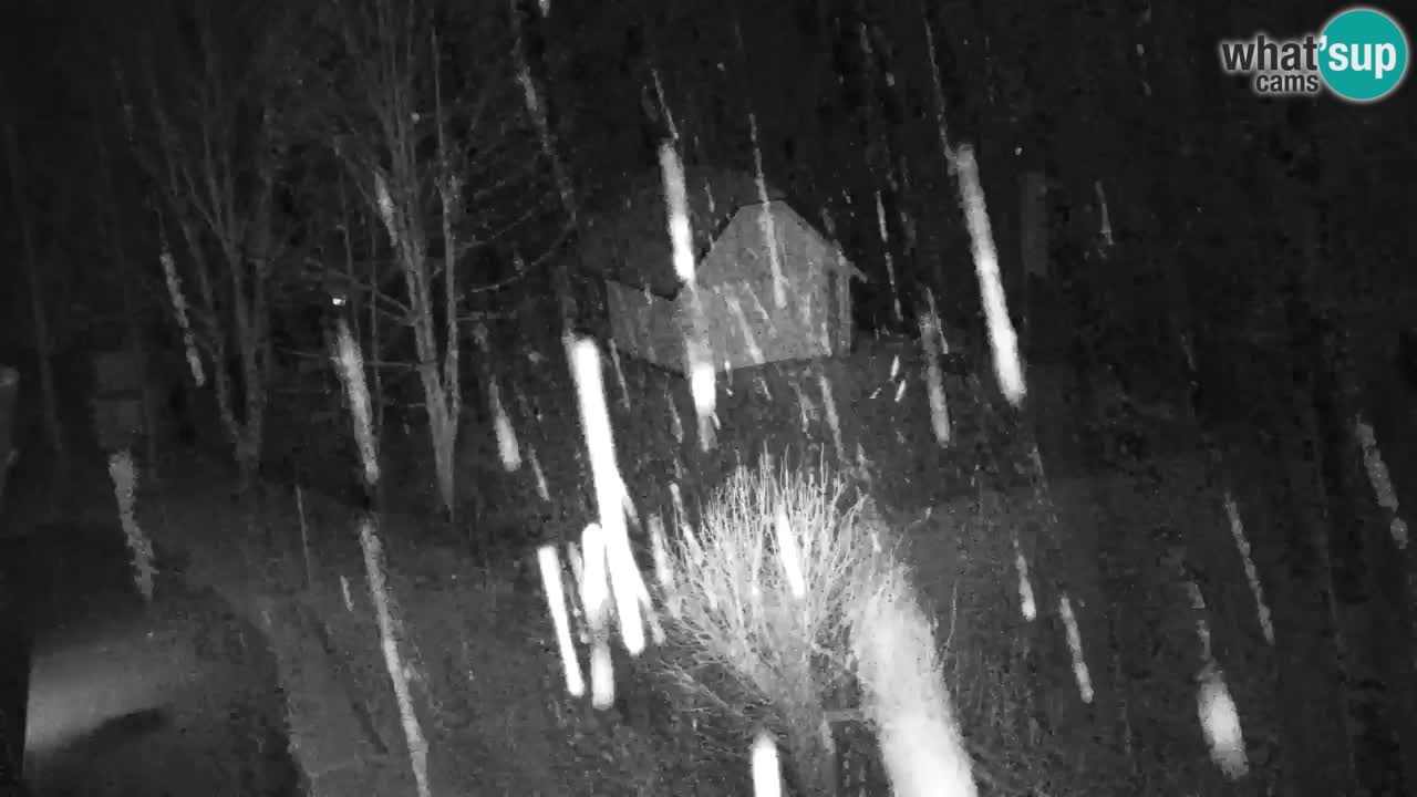 Webcam Lukanja – Water Village | Pohorje Houses