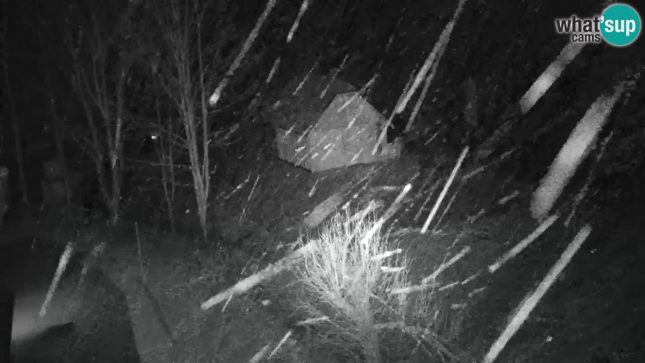 Webcam Lukanja – Pohorje houses a Water village