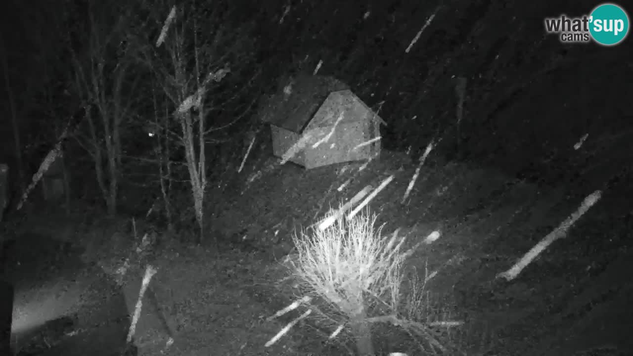 Spletna kamera Lukanja – Water Village | Pohorje Houses