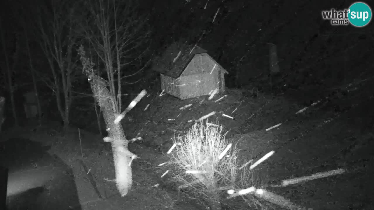 Webcam Lukanja – Water Village | Pohorje Houses