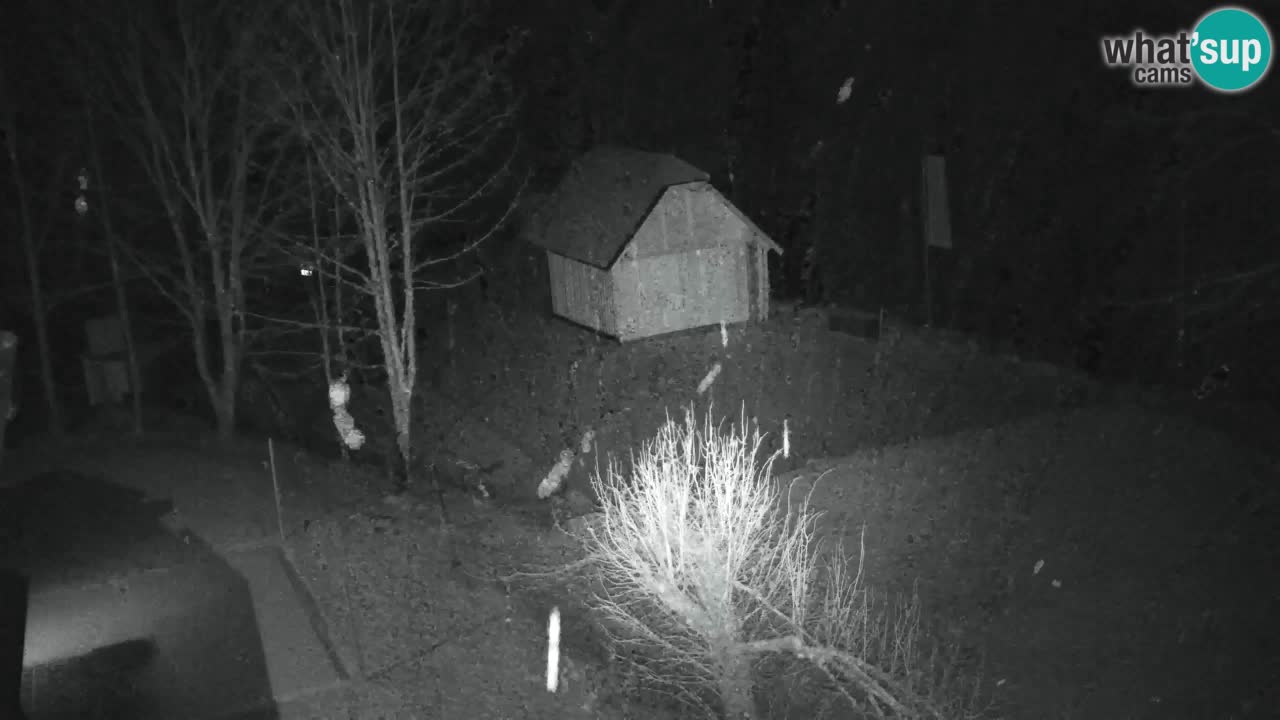 Webcam Lukanja – Pohorje houses a Water village