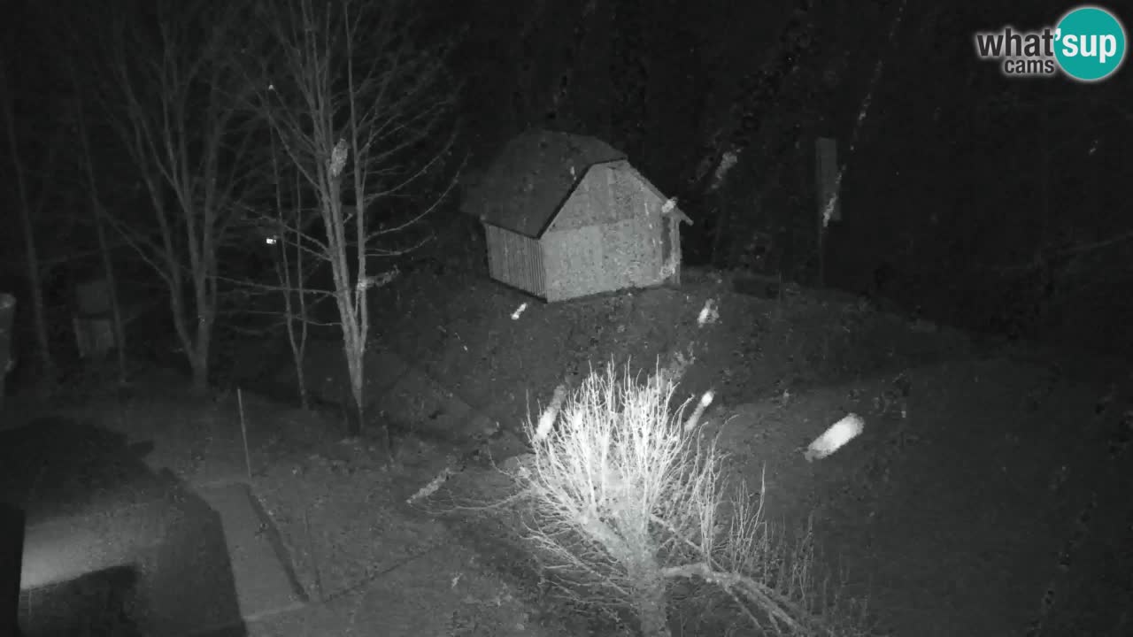 Webcam Lukanja – Water Village | Pohorje Houses