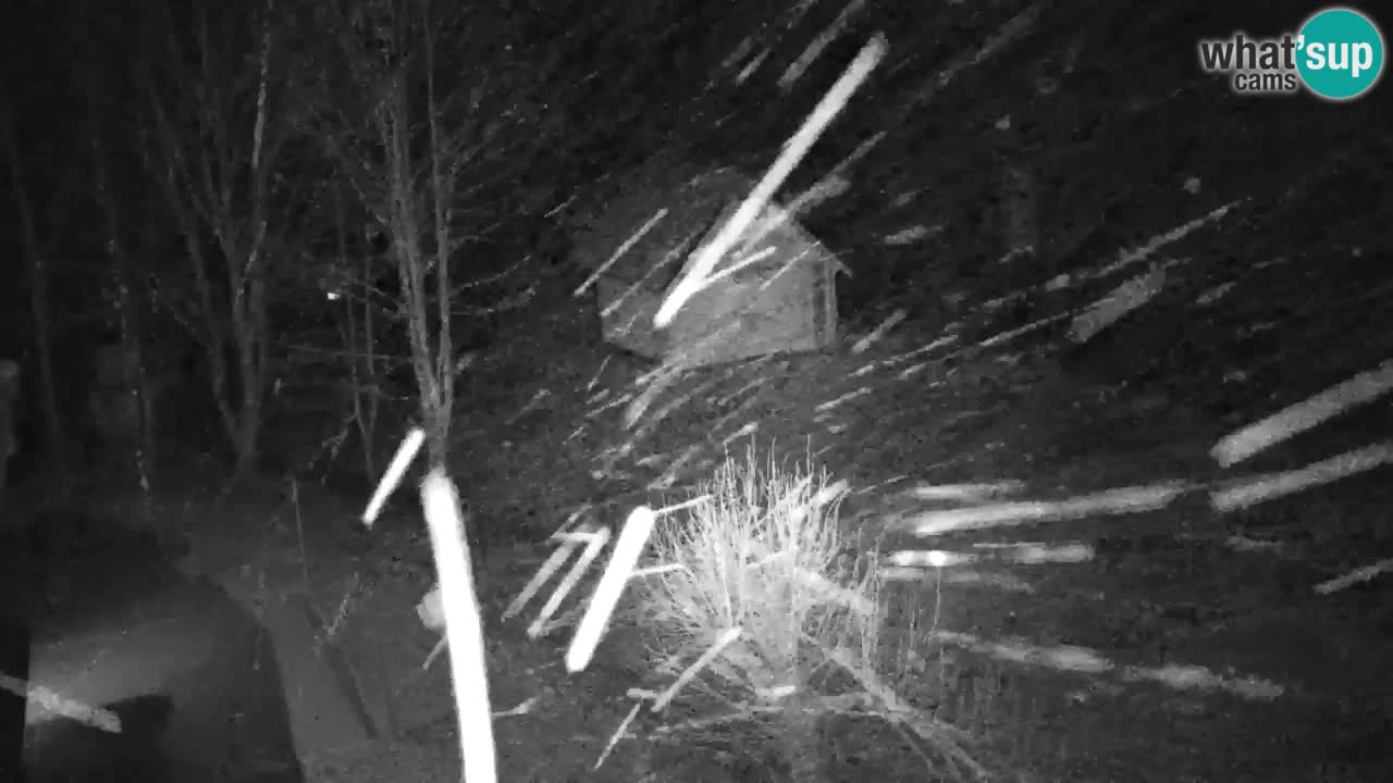 Webcam Lukanja – Pohorje houses a Water village