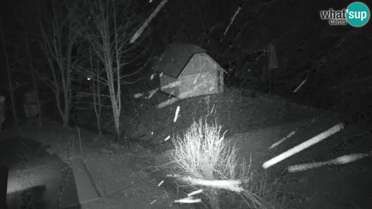 Web kamera Lukanja – Water Village | Pohorje Houses