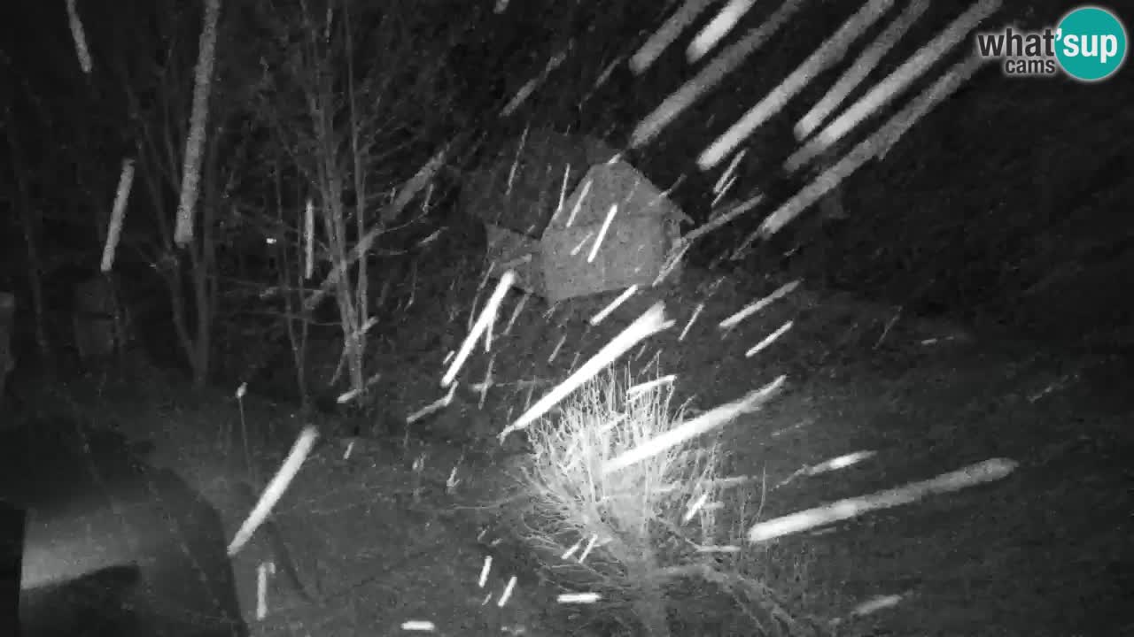 Webcam Lukanja – Pohorje houses a Water village