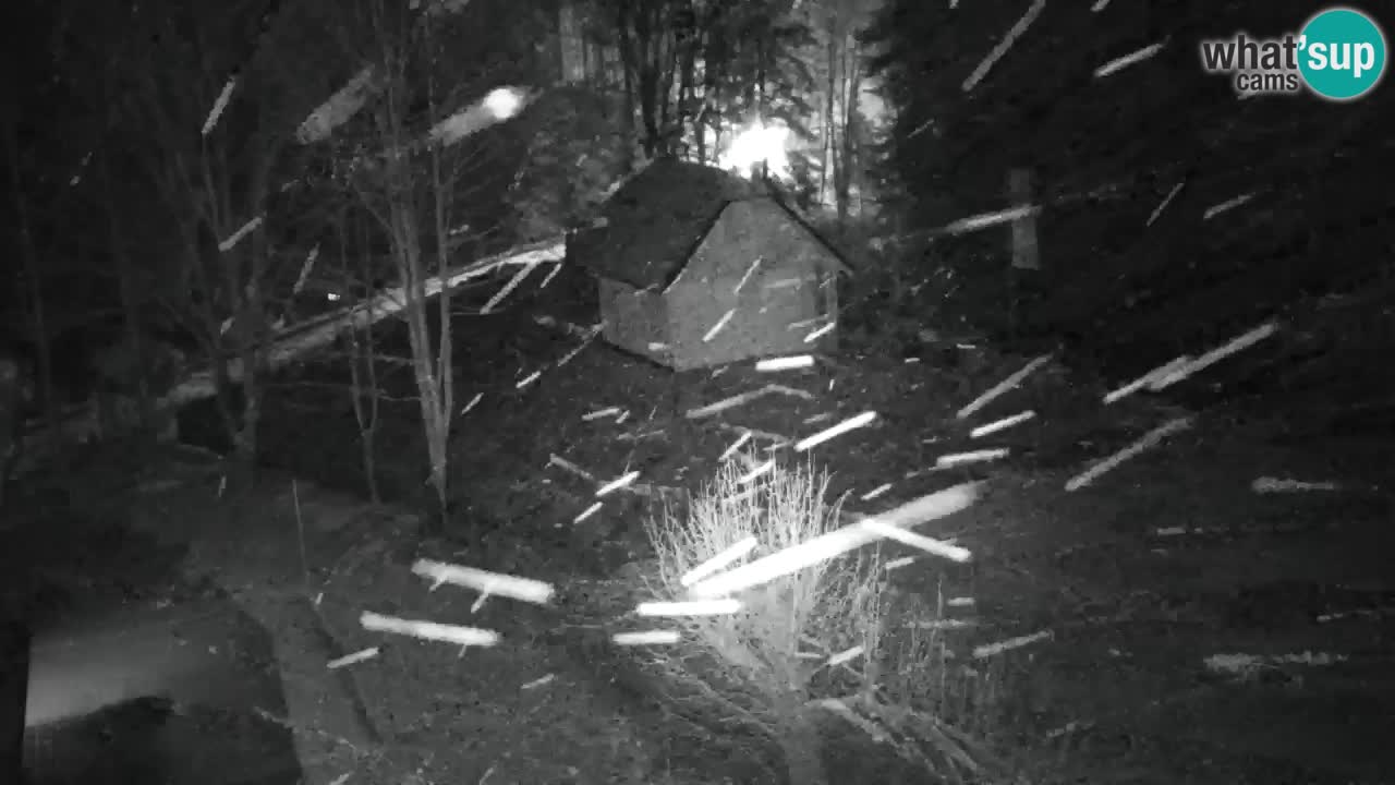 Webcam Lukanja – Water Village | Pohorje Houses