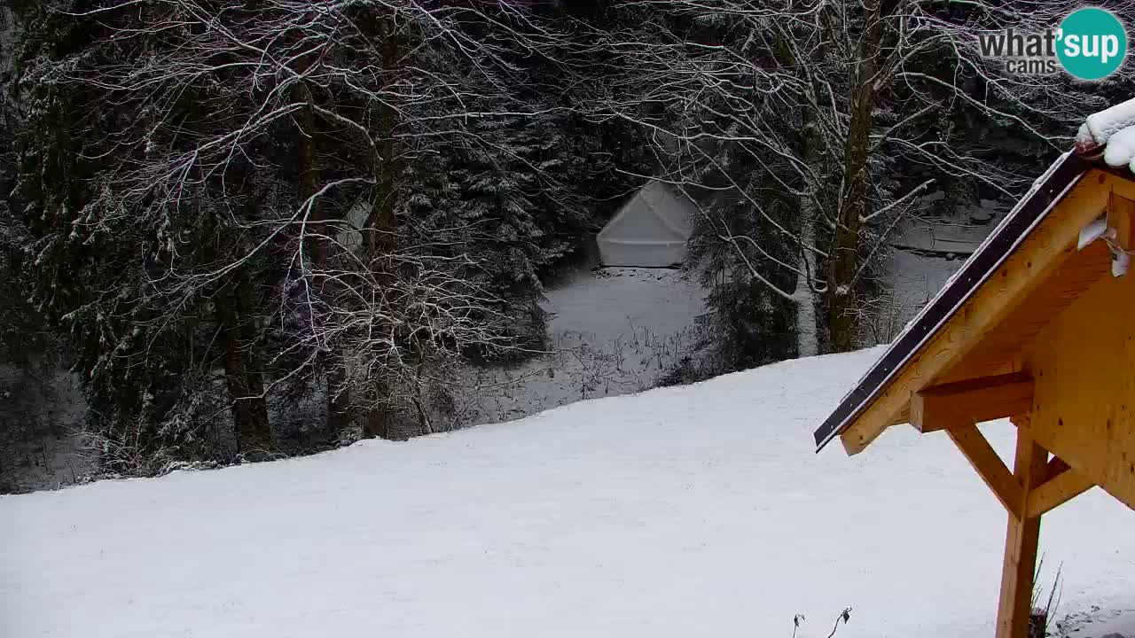 Webcam Lukanja – Water Village | Pohorje Houses