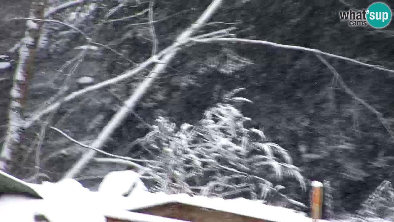 Webcam Lukanja – Water Village | Pohorje Houses