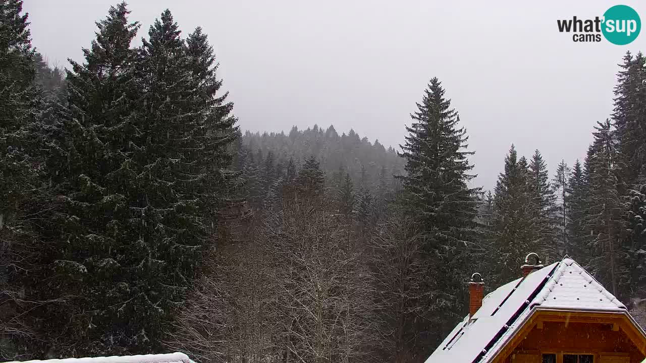 Webcam Lukanja – Water Village | Pohorje Houses