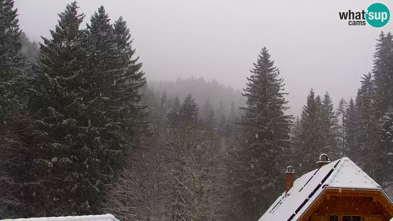 Webcam Lukanja – Water Village | Pohorje Houses