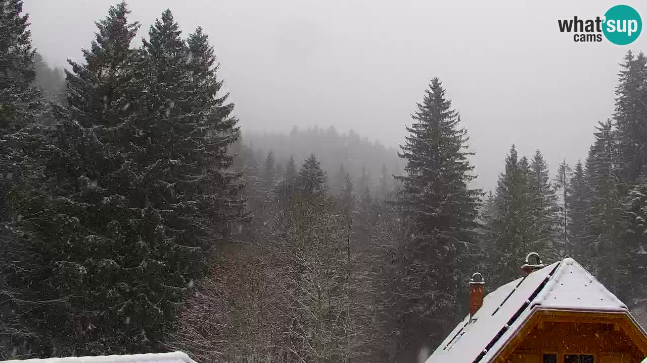 Webcam Lukanja – Water Village | Pohorje Houses