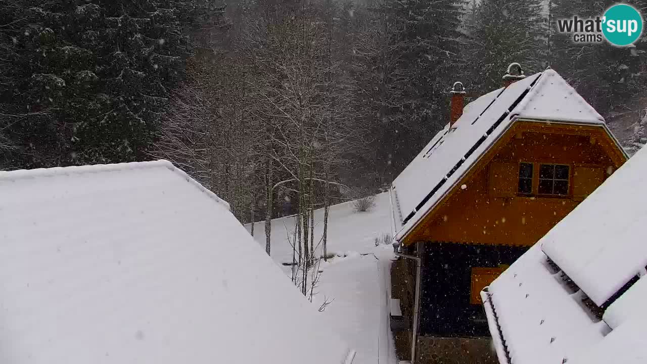 Web kamera Lukanja – Water Village | Pohorje Houses